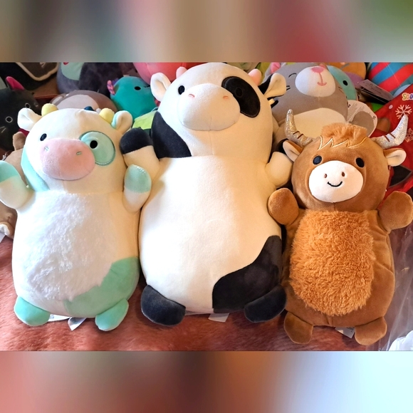 Belana, Conner and Wilfred 3 cow squishmallow bundle. - Picture 2 of 2